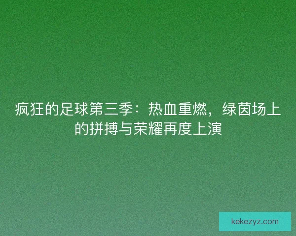 疯狂的足球第三季：热血重燃，绿茵场上的拼搏与荣耀再度上演